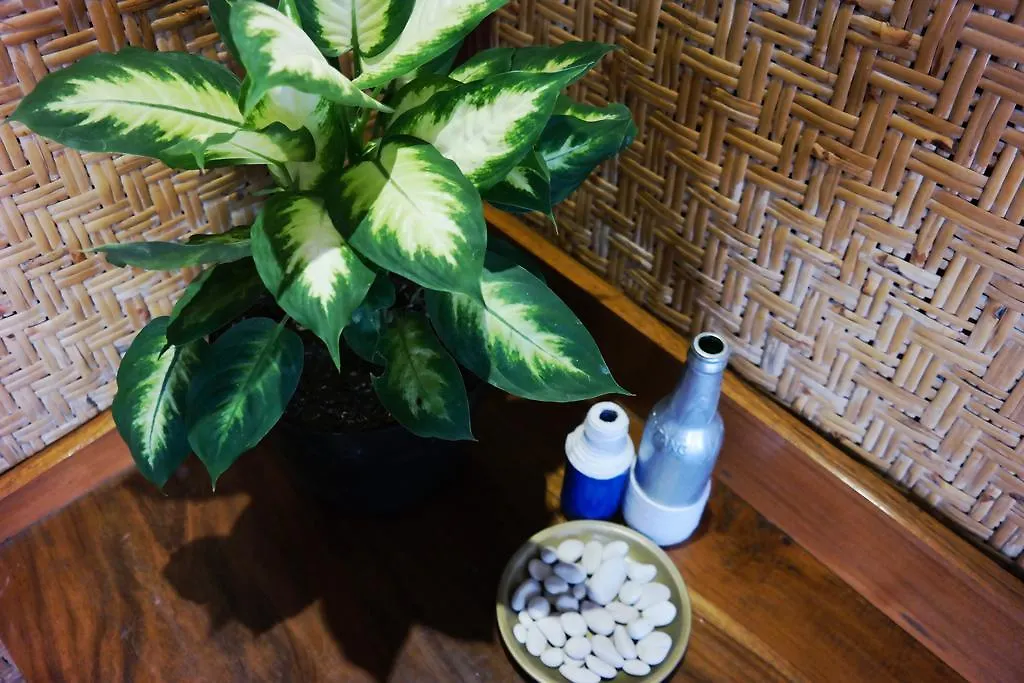 Tehila House Hotel Canggu  Indonesia